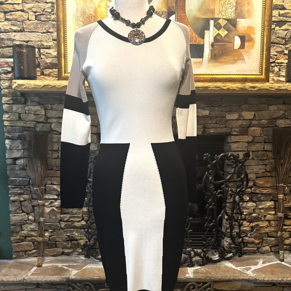 Calvin Klein Stylish Black, White and Tan Color Bloc long sleeve Dress size S